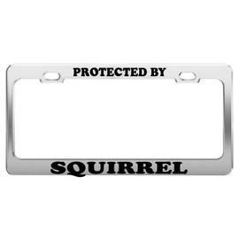 Product Express Protected by Squirrel License Plate Frame Tag Holder Car Truck Accessories