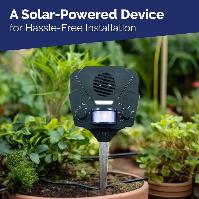 Bird-X Solar Yard Gard, Ultrasonic and Solar-Powered Animal Decoy Device