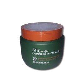 ATS Firstige Kamishi All-in-One Mask 500ml / ATS 에이티에스 퍼스티지 카미시 올인원 마스크 500ml