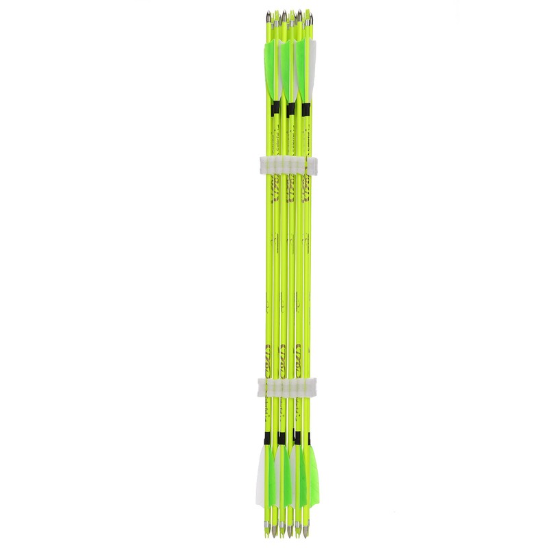 annastar 30" Carbon Feather Arrows Practice Hunting Arrows Spine 300
