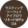 K-Pallette Lasting 2-Way Eyebrow Liquid WPa 04 Dark Greige