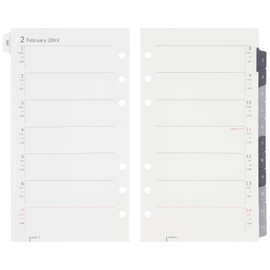 Maruman DP175-25 Planner System Notebook Refill, 2025 Bible-Size Data Plan, Weekly, 2-Week Spread, 6-Hole Punched, Starting January 2025