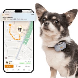 Pawfit Lite for Dogs 4g GPS Tracker | Real Time Tracking | Activity Monitoring |Location History | Unlimited Range | Safety Collar Included | Lilac grey