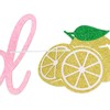 She Found Her Main Squeeze Banner, Lemon Themed Shower, Couples