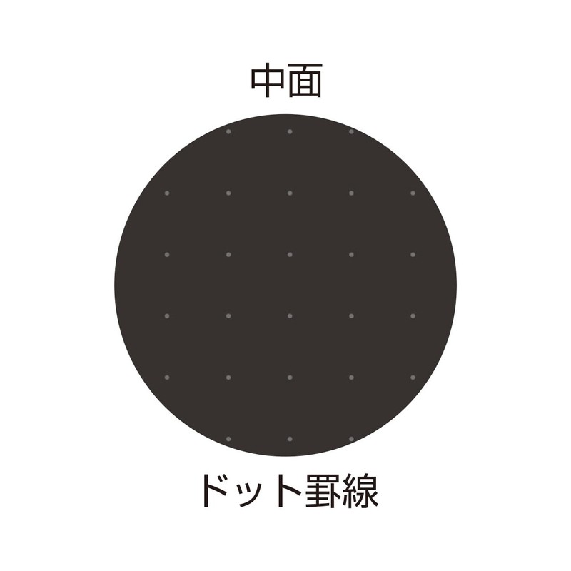 Pilot NFB0240 Black Notebook, B5, Dot Ruled, Notebook Type