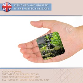 Destination Vinyl ltd Fridge Magnet - Baby Chihuahua Dog Puppy Cute for Office, Cabinet and Whiteboard, Magnetic Stickers, 44196