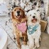 CROWNED BEAUTY Christmas Dog Bandanas Reversible Large 2 Pack, Winter