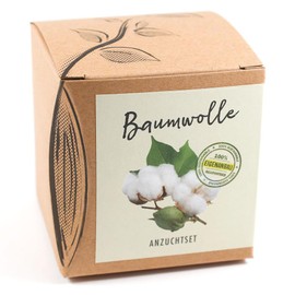 NATUR KRAFTWERK Gift Cultivation Set Cotton with Seeds of Pot Cotton, Great Gift Idea from Naturkraftwerk