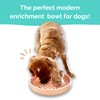 Pink Silicone Slow Feeder Bowl for Pets