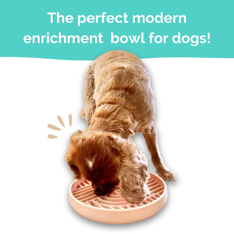 Pink Silicone Slow Feeder Bowl for Pets
