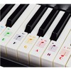 Piano Stickers for 49/61/76/88 Keys - Transparent and Removable