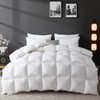 L LOVSOUL Organic 75% Down Fiber Comforter Queen, White