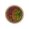 Sadaf Ash-e Anar Mix - Veggie Soup with Pomegranate -