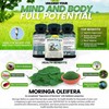 Hojas De Moringa Orgánicas - Beneficios Naturales en Cada Hoja,