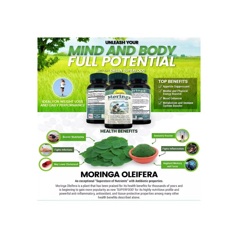 Hojas De Moringa Orgánicas - Beneficios Naturales en Cada Hoja,