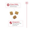 Royal Canin Breed Health Nutrition Dachshund Puppy Dry Dog Food,