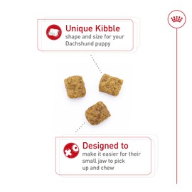 Royal Canin Breed Health Nutrition Dachshund Puppy Dry Dog Food, 2.5 lb Bag