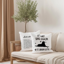 FLDAS Labrador Definition Pillow Covers 18x18 Set of 2, Cute Dog Decor Pillow Cases, Labrador Gifts Home Room Decor, It’s Not Dog Hair It’s Labrador Glitter Pillows Decorative Throw Pillows Cover