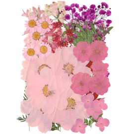 10 Types 50PCS Dried Flowers for Resin & Pressed Flowers Kit -Real Pressed Flowers and Leaves for DIY Art, Crafts, Pressed Flower Frame, Jewelry, Bookmarks ect- Perfect for Unique Gifts and Home Decor