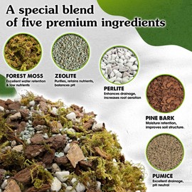 Wemoss 5-in-1 Orchid Potting Mix with Forest Moss, Pine Bark, Perlite, Zeolite, and Pumice – Orchid Soil, Orchid Repotting Kit for Healthy Roots, Fast Drainage, and Support for Growth 1 QRT