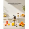 Reemix Electric Citrus Juicer - Orange, Lemon, Grapefruit Juicer with