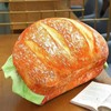 Hamburger Throw Pillow Multi Purpose Plush and PP Cotton Back