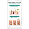 Natural Zenshow Ginger Hair Loss Shampoo Serum Control Oil Strong