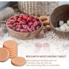 Yharnamite 6 Pcs Terracotta Brown Sugar Saver, Brown Sugar Keeper,