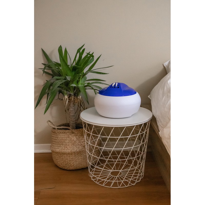 Crane Pure Steam Vaporizer, 1.0 Gallon, Filter Free, Whisper Quite,