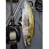 Fishing Fighters Airbraid PE White 150m #0.5/11.0Lb