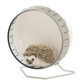 Sanko Silent Wheel Flat 25 for Small Animals such as Degu, Chipmunk, Hedgehog