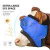 Harrison Howard Cattle Livestock Fly Mask Breathable Mesh Padded Edging
