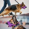 SlowTon Nylon Dog Muzzle, Adjustable Loop, Soft flannel Padding, Comfortable