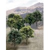 Ready Made Tree Value Deciduous (Set of 14)