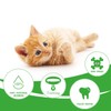 Cat Toothbrush Catnip Toy,Interactive Rubber Dental Care for Pet Kitten