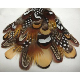 Pretty-Plumes Mixed Feathers Ringneck Pheasant Guinea Golden Pheasant Reeves 35 Pc #7
