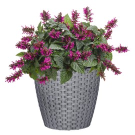 Classic Home and Garden Planter, Harbor Gray, 8 Inches