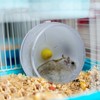 WishLotus Hamster Running Wheel, Silent Jogging Exercise Toy Hamster Cage