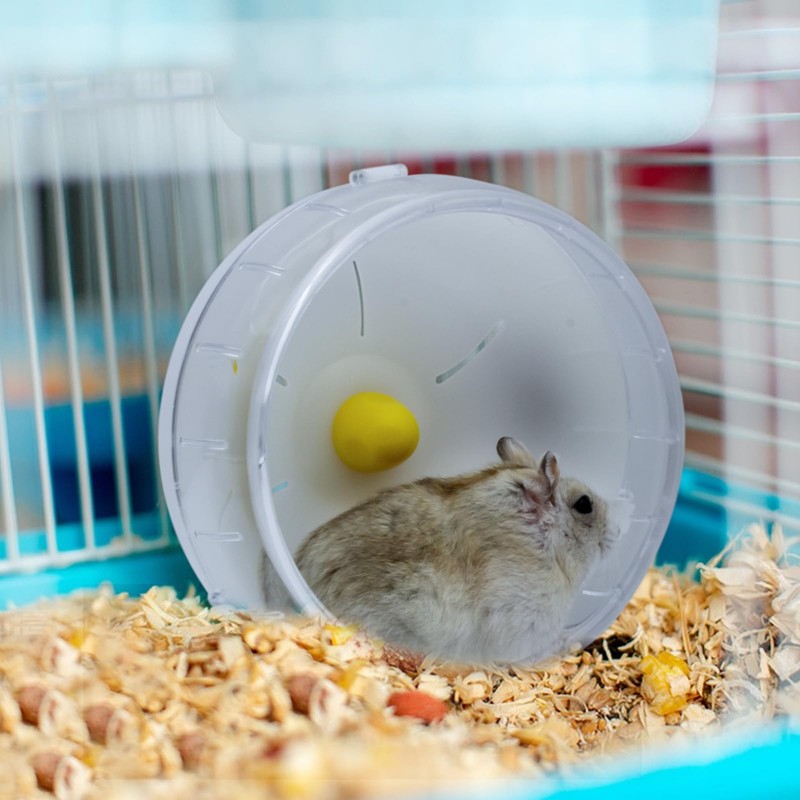 WishLotus Hamster Running Wheel, Silent Jogging Exercise Toy Hamster Cage