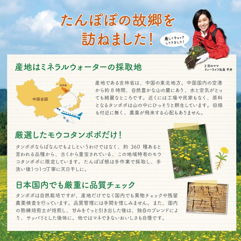 Dandelion Tea Pure Blend, 30 Pieces for Cups (Caffeinated Breastfeeding