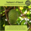 200+Dried Soursop Leaves, Hojas De Guanabana Secas, Dried Soursop Graviola