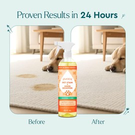 Puracy Pet Stain and Odor Remover - Enzyme Cleaner for Dog Urine and Poop Carpet - Cat Pee Enzyme for Cat Urine Cleaner Destroyer - Cucumber & Mint, 25oz