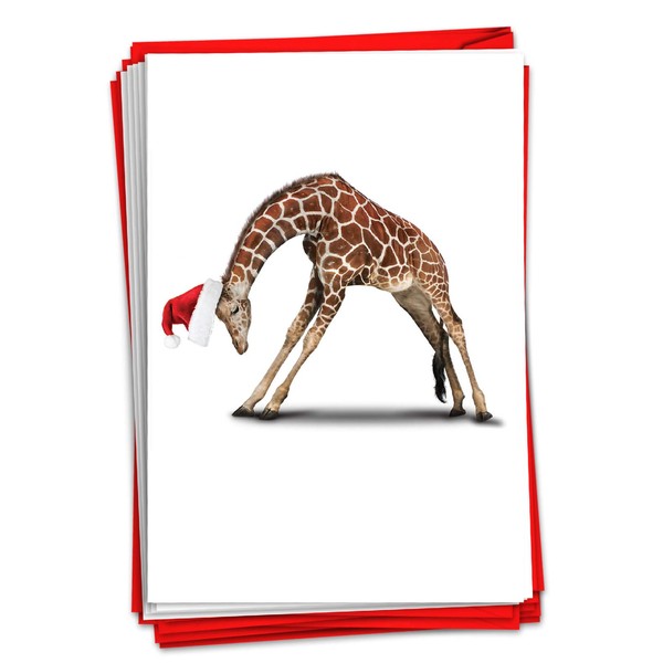 The Best Card Company - 12 Boxed Christmas Cards with Envelopes - Adorable Holiday Animals, Fun Kids Notecard Set (1 Design, 12 Cards) - Zoo Yoga Giraffe B6547BXSG