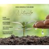 Natural Cilt Argan Soap - 100% Natural Soap - No