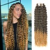 Alaleibaby Ocean Wave Crochet Hair 22 inch Deep Wave Crochet