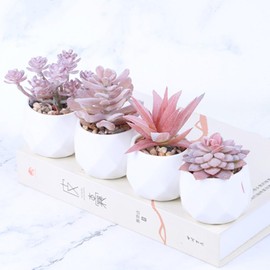 Generic 4 pcs Artificial Succulent Plants in Pots, Fake Plants, Faux Mini Succulents Plants Indoor for Desk Living Room Bedroom Windowsills Office Home Decoration, Pink, rex-1131