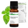Organic Basil Essential Oil - 100% Natural & GC/MS Approved