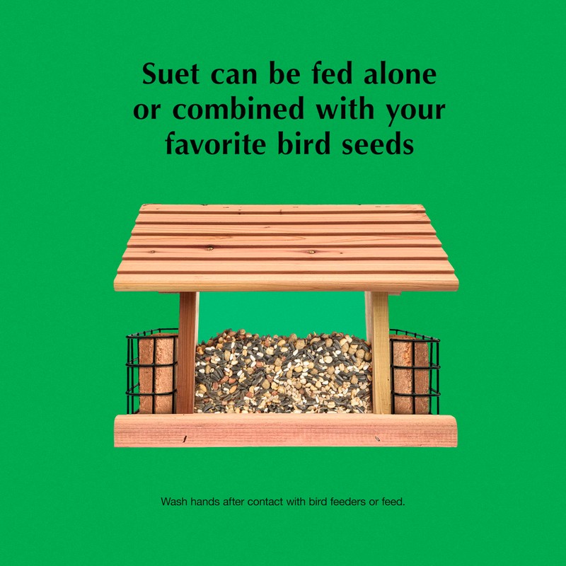 C&S Hot Pepper Suet Nuggets 27 Ounces