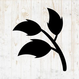 Squirrel Decals Peel and Stick - Wall Vinyl Decals Stickers - Forest Cute Funny Baby Silhouette - Car Window Truck Laptop Tumbler - Girls Boys Kids Bedroom Nursery Room Decor DWSV18394