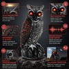 Solar Owl Bird Deterrent for Garden Protection – Waterproof Decoy